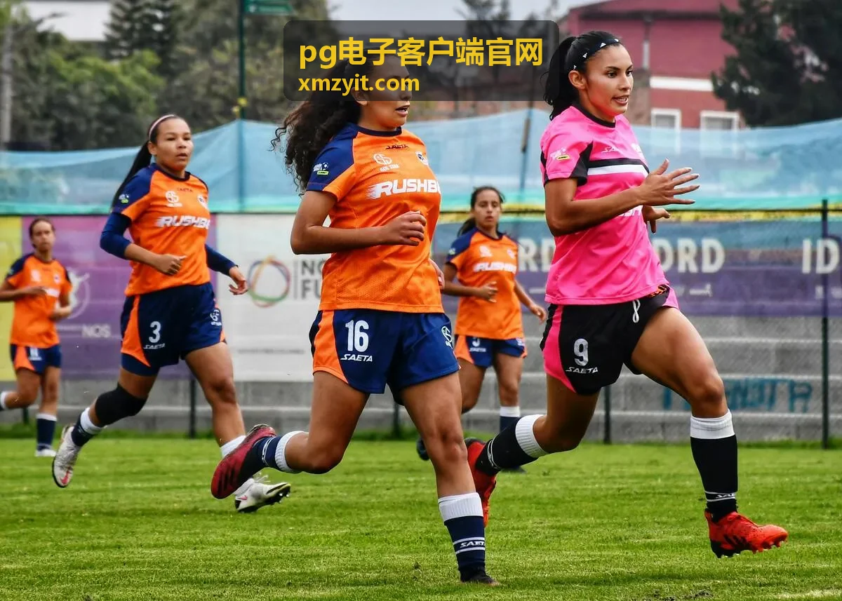 pg电子客户端官网本地数据备份与恢复步骤封面